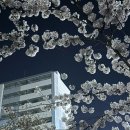 토마토 원광대점 이미지