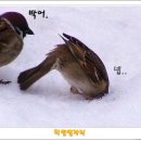 희망별자리 네이버블로그