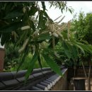 초가집(주) 이미지