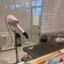 애플이네펫미장원 | 부산 남구 용호동 W스퀘어 애견미용 애플이네펫미장원 찐추천 및 후기