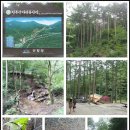 청옥산휴양림 이미지