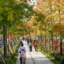 이팝리조트B 이미지