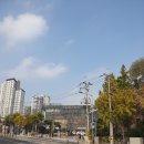 용산 꿈나무도서관 | 용산 꿈나무 도서관 방문 후기