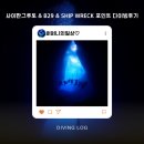 B29 | 사이판 그루토&amp;B29&amp;Ship wreck 포인트 다이빙후기