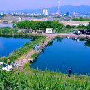 왕대박부동산공인중개사사무소 이미지