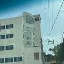 파리바게뜨(성곡점) | 강릉 기념품 간식 '강릉샌드 본점' 커피맛 초당옥수수맛