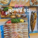 지금애월 | 제주 애월 고등어회 맛집 회가 서쪽에서 뜨겠네 도민 추천 후기