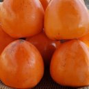 삼화농장 이미지