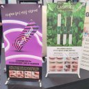 야시미구 | 속눈썹 펌, 아이브로우 반영구 메이크업 잘하는 집 대구 동성로 "야시미구"