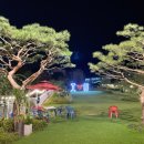 오늘도 장어 이미지