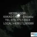 금상투어 이미지