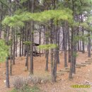 태조산 공원 이미지