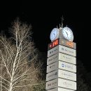 심바는 크리스마스 이미지