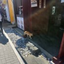 첨성로2(남) 이미지