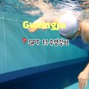 [광주 SPT] 1:1 수영 레슨 체험기, 수린이 탈출 성공! ★강추★
