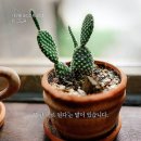 좋은생각 이미지