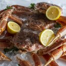 거일1리어촌체험휴양마을 이미지