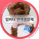 봄맞이 강아지영양제추천, 임비타 면역강화제