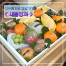 새봄청과 - 사천시 동금2길 8 | 진주 농할상품권사용처 새봄청과 평거동 과일가게