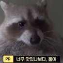 소나무펜션 이미지