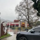 오렌지나무 작은도서관 | 🇹🇷튀르키예(에페소)