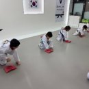 인천 국가대표태권도장 이미지