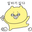 어벤더치 이미지