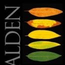 생활속의 H 이미지