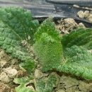 순재농장 이미지