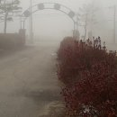 강변유원지길 이미지