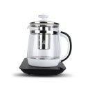 1705 | 전기 티포트 추천 - 키친아트 유리 티포트 KK-1705T 솔직 후기 (4000개+ 리뷰!)