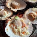 조개구이 이미지