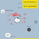 타일러 | 샤라웃 맘스터치! 타일러 내한 후기