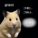 개인화물223 | 리얼 허거덩거덩스한 2월과 3월 그 어딘가의 주간일기