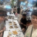 매크로마켓 Daum카페