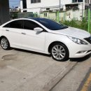 TOP 스포츠 이미지