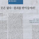 에코방스