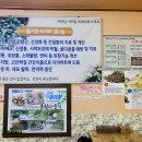 금강올갱이 이미지