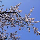 달맞이근린공원 이미지