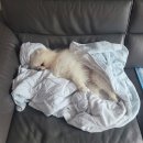 야곱목장 | [2025.12.29-2026.1.04] 햅삐2026〰️