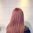 모브 제이