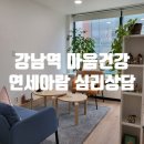 뚠뚠정보 강남역 가족 부부 청소년 아동 심리상담 추천 연세아람 심리상담센터 후기
