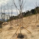 매곡3차산업단지내 이미지