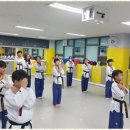 멘토태권도교육관 이미지