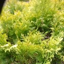 백삼농장 이미지