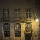 우천 | [6탄] 신트라 우천투어 리얼후기｜이건 알고 가세요