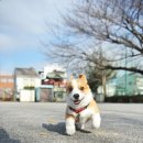 마린동물병원 이미지