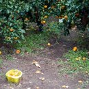 종해농장 이미지