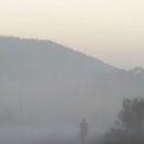 서리농장 이미지