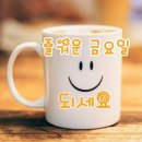 842회 금요 댄스 동호회 공지 올립니다 이미지